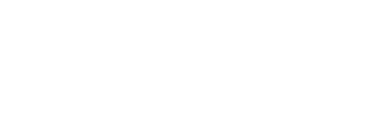 Shreeji Systems Logo